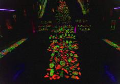 MlOStxhvu37VDr_6QVVOSQ2j6-QyGZDG.jpg