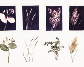 Maraya-Sun-Printing-Thumbnail.jpg