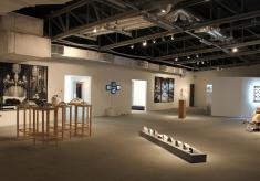btn-2012-03-14-migrasophia-06.jpg
